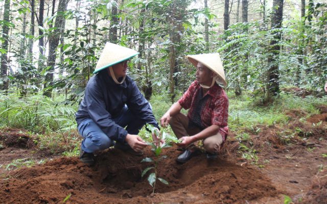 Aksi Hijau Kampung Berseri Astra Suntenjaya Terapkan Pertanian Ramah Lingkungan